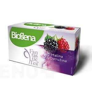 Biogena Fantastic Tea malina & ostružina 20x2