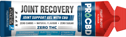 PRO CBD™ Joint Recovery Gel 60 g fruit burst - Applied Nutrition Applied Nutrition