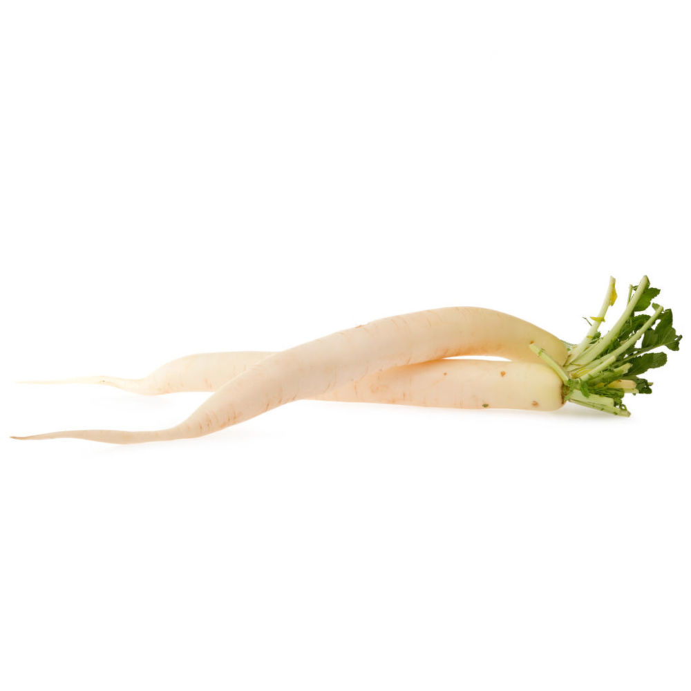 Ředkev bílá „Daikon" BIO (ks) Neurčeno