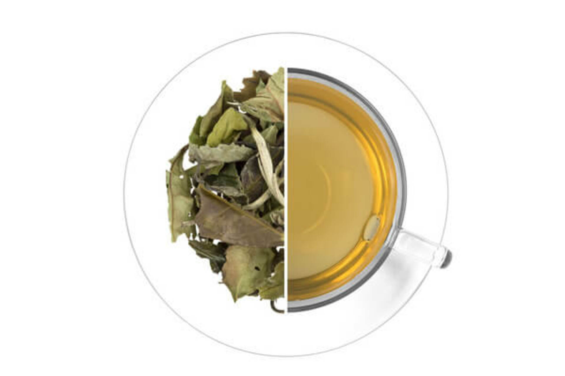Oxalis Pai Mu Tan bílý čaj 30 g