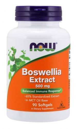Boswellia Extract 500 mg 90 kaps. - NOW Foods NOW Foods