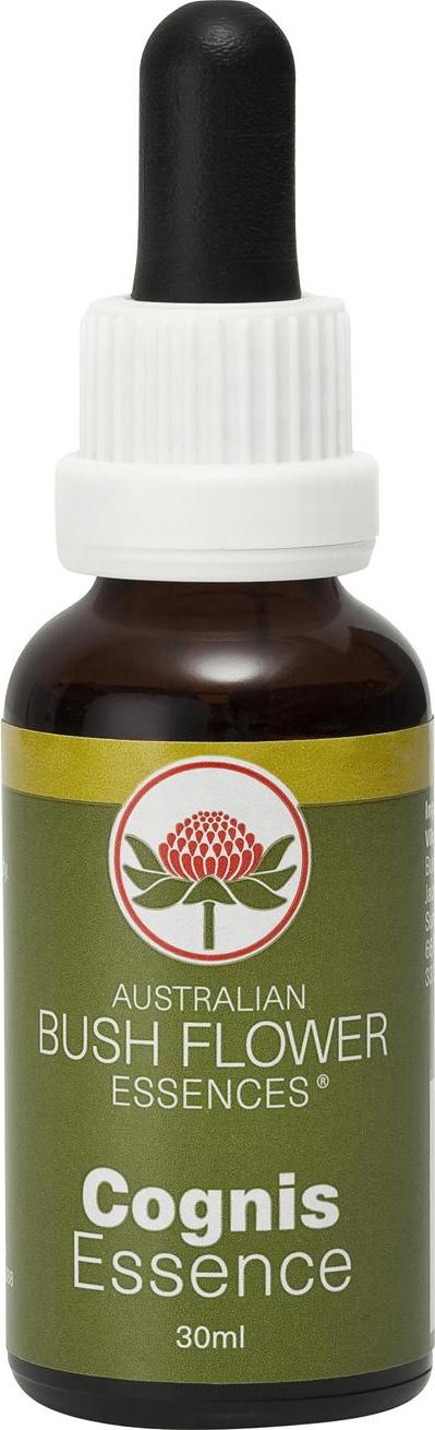 Australian Bush Flower Essences Učení 30 ml