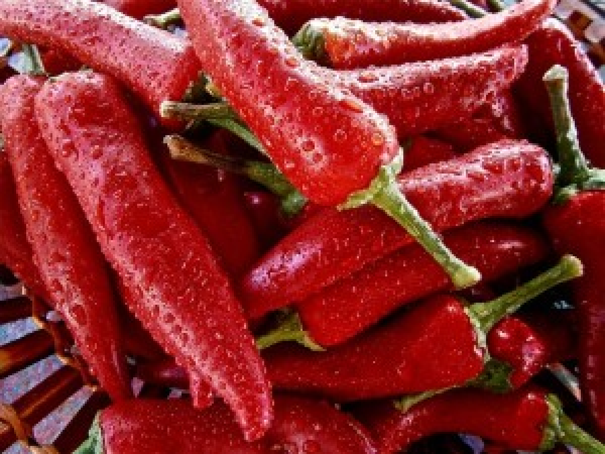 Letní polévka a plněné papriky - recept na osvěžující oběd