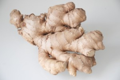 Zázvor lékařský/pravý (Zingiber officinale)