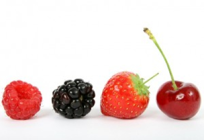 Dieta na hubnutí – která je ta pravá pro Vás?
