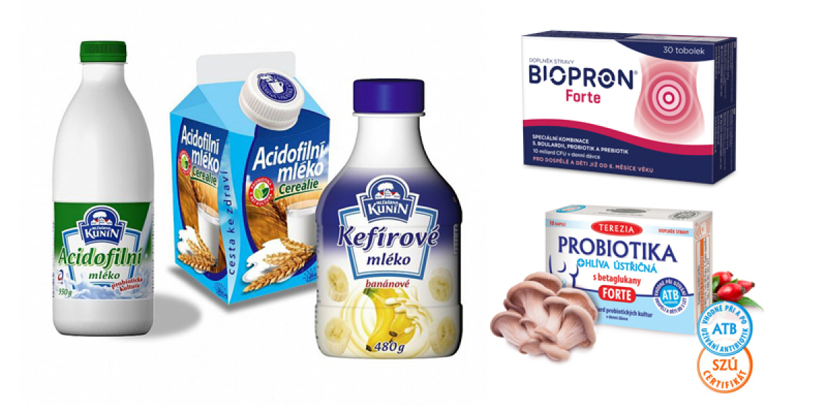 PROBIOTIKA, PREBIOTIKA A SYMBIOTIKA PRO POSÍLENÍ IMUNITY