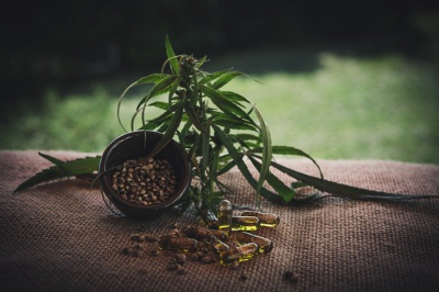 CBD produkty a co umí