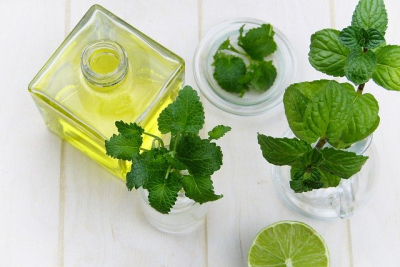 Herbář bylinek vám pomůže objevit zdraví v přírodě