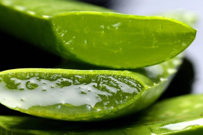 Na co všechno využijete gel z aloe vera?