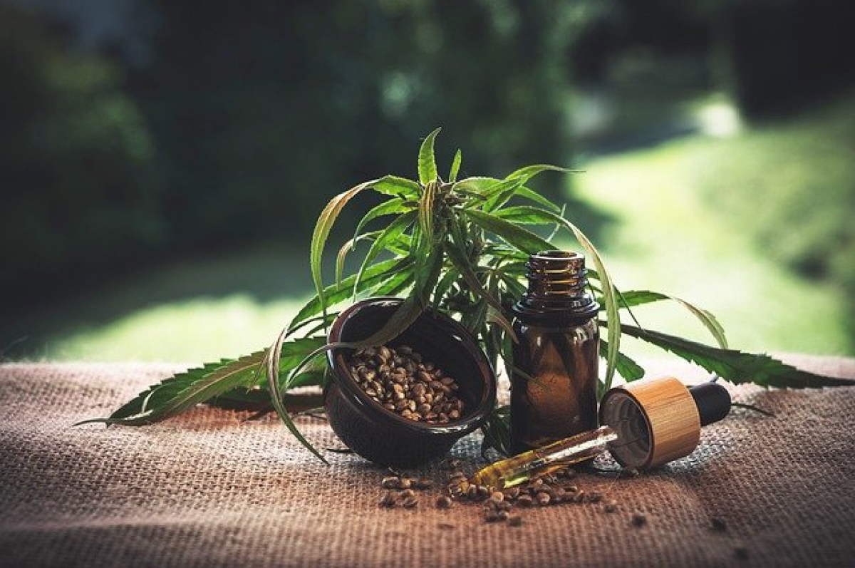 Budoucnost CBD ve světě