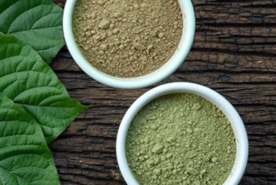 Hluboký pohled do světa Kratomu
