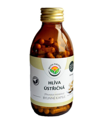 Salvia Paradise Hlíva ústřičná (120 kapslí) - síla tradiční funkční houby z Econea.cz