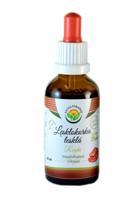 Salvia Paradise Lesklokorka lesklá - Reishi - tinktura bez alkoholu (50 ml) z Econea.cz