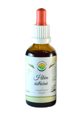 Salvia Paradise Hlíva ústřičná - tinktura bez alkoholu (50 ml) z Econea.cz