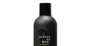 Alfaparf Milano Blends of Many Shampoo pro jemné a zplihlé vlasy 250 ml