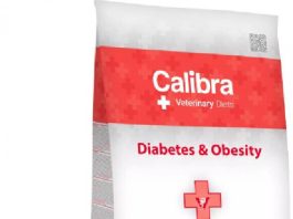 Calibra Veterinary Diets Dog Diabetes & Obesity 2kg