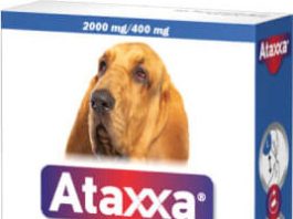 Ataxxa pro psy nad 25kg spot-on 1x4ml