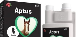 Aptus Equine Apto-Flex vet sirup 1000 ml