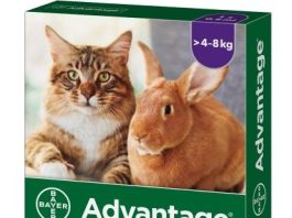 Advantage 80mg velké kočky+králíci spot-on 1x0.8ml